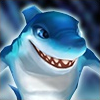 Charger Shark